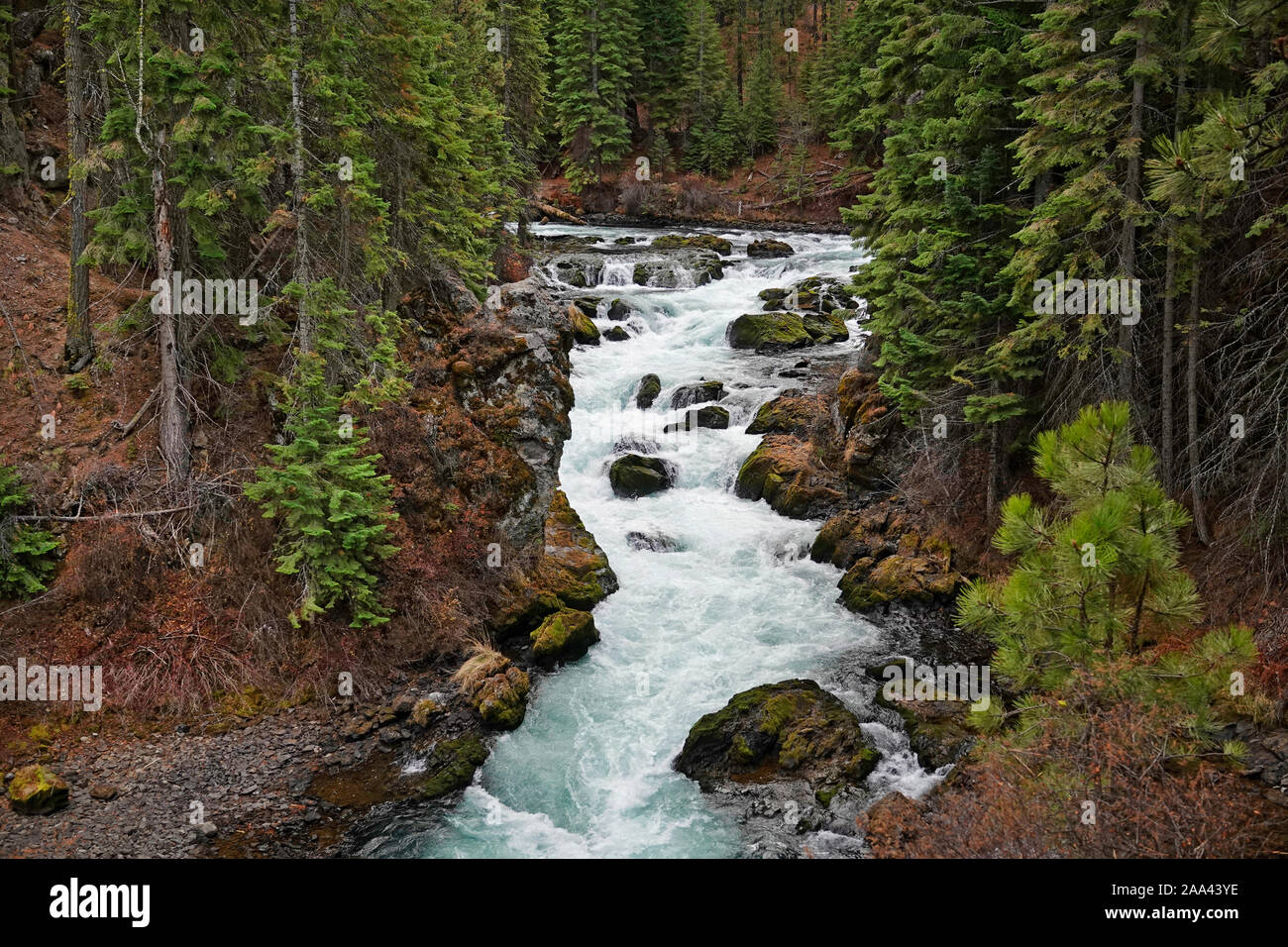 Una vista di Benham Falls, una grande cascata sul fiume Deschutes in Deschutes National Forest nel centro di Oregon. Foto Stock