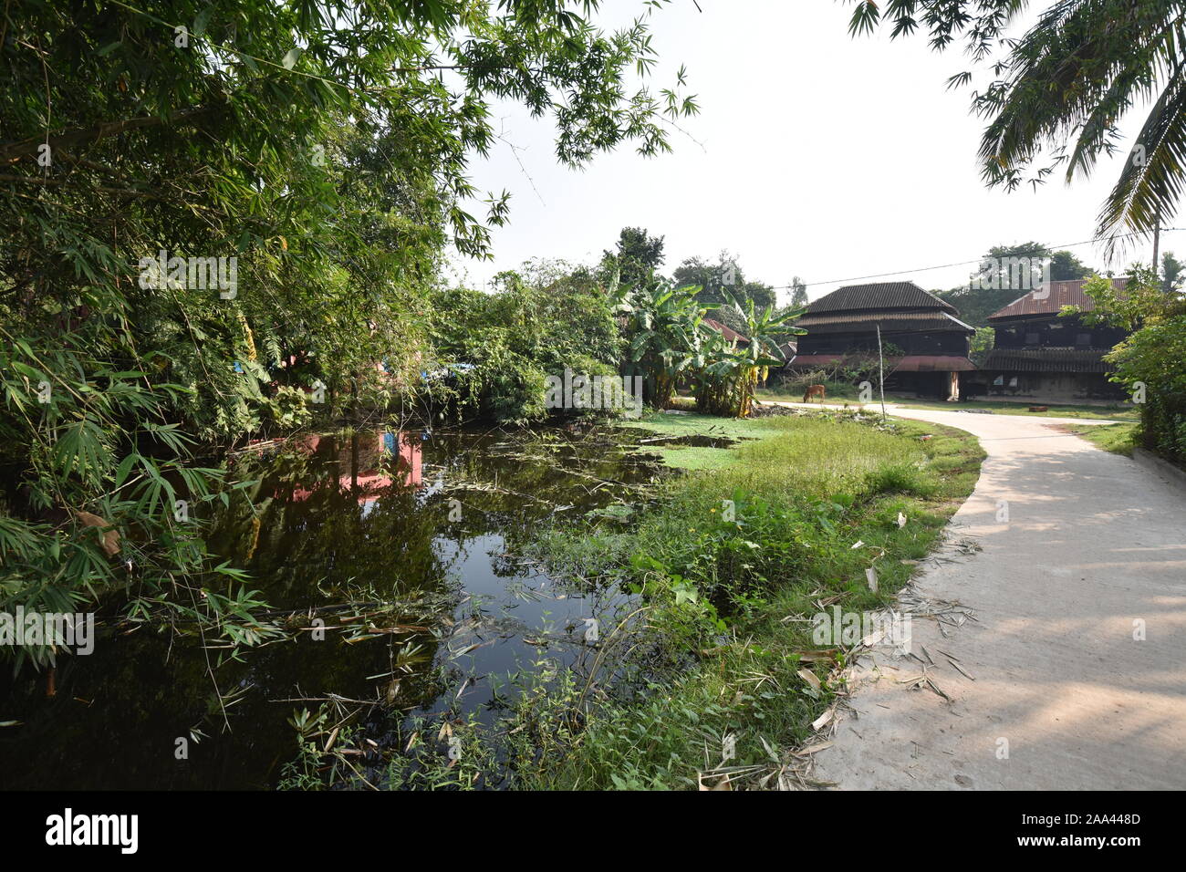 La scena del villaggio di Birsingha (luogo di nascita di Ishwar Chandra Vidyasagar). West Midnapore, Bengala occidentale. India. Foto Stock