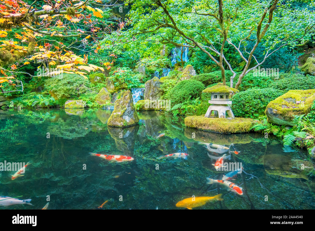 Giardino giapponese in Portland Oregon USA Foto Stock