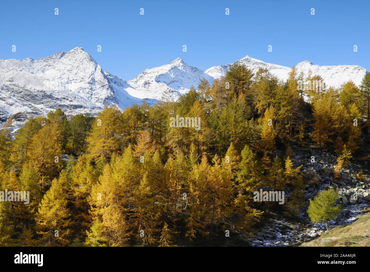 Herbststimmung am Berninapass Foto Stock