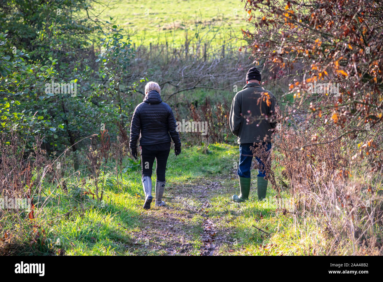 La gente a piedi nei boschi vicino al fiume Lowther, balena, Askham, Lake District Foto Stock