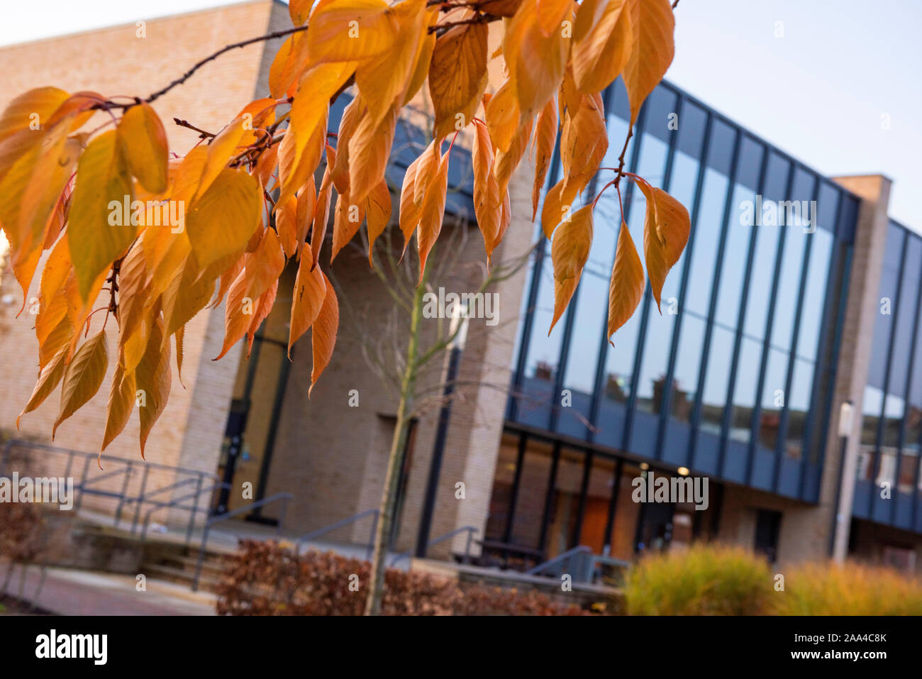 Autunno mattina presso Il Fienile sul Sutton Bonington Campus dell'Università di Nottingham, Loughborough LEICESTERSHIRE REGNO UNITO Inghilterra Foto Stock