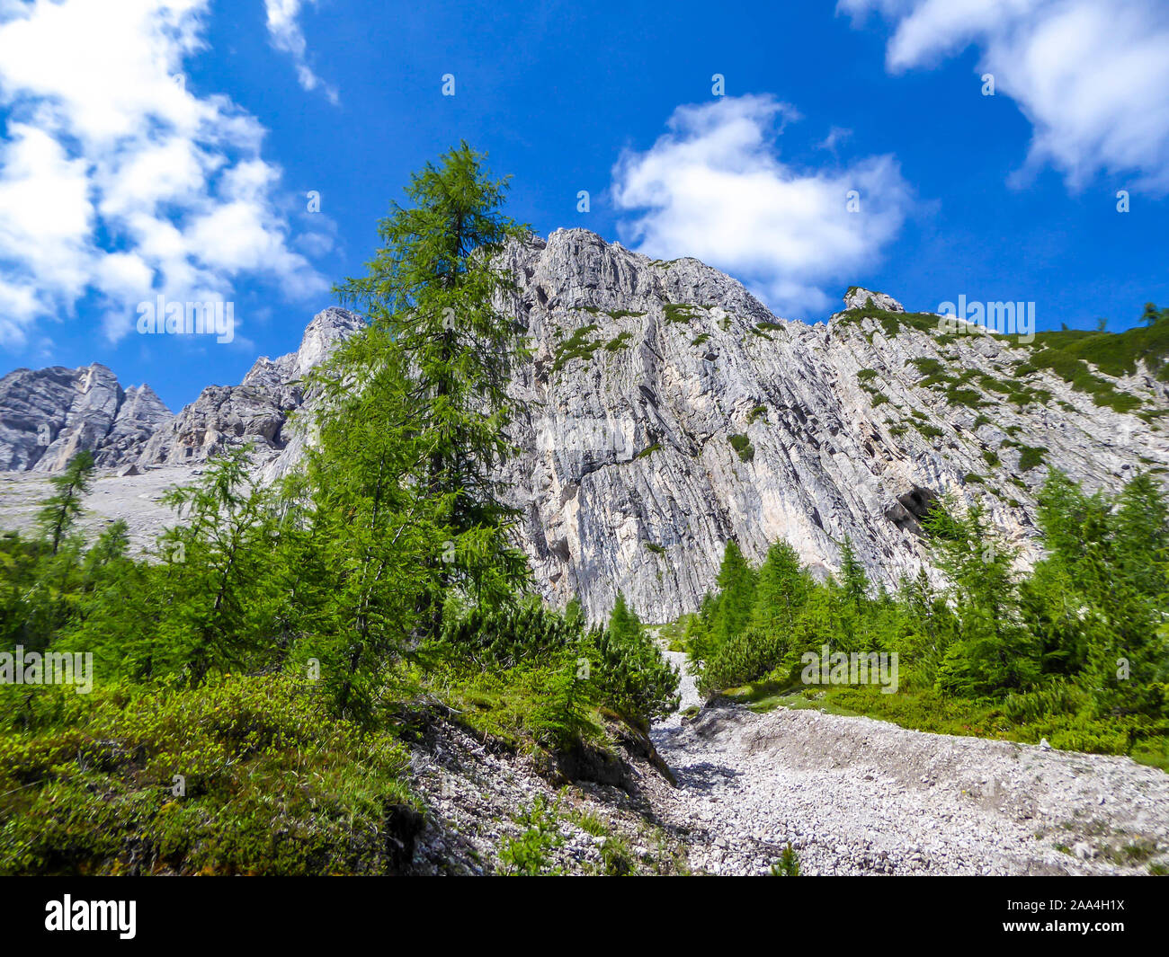 Una distanza vista sul massiccio, sharp pietroso gamma di montagna delle Dolomiti di Lienz in Austria. Le montagne sono parzialmente ricoperta da cespugli verdi. Pericoloso Foto Stock