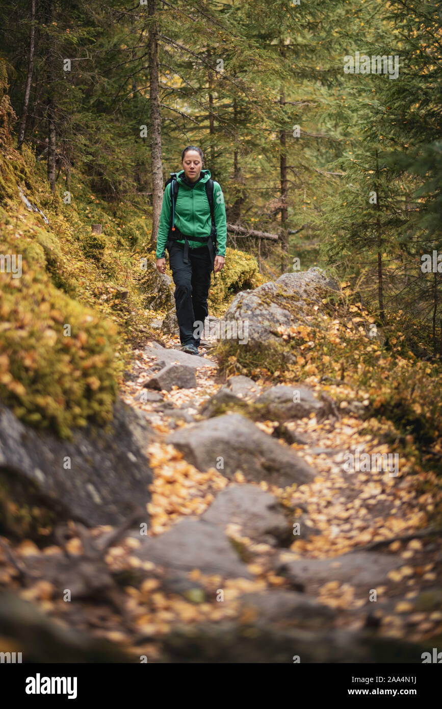 Donna escursionismo in una foresta autunnale, Bad Gastein, Salisburgo, Austria Foto Stock