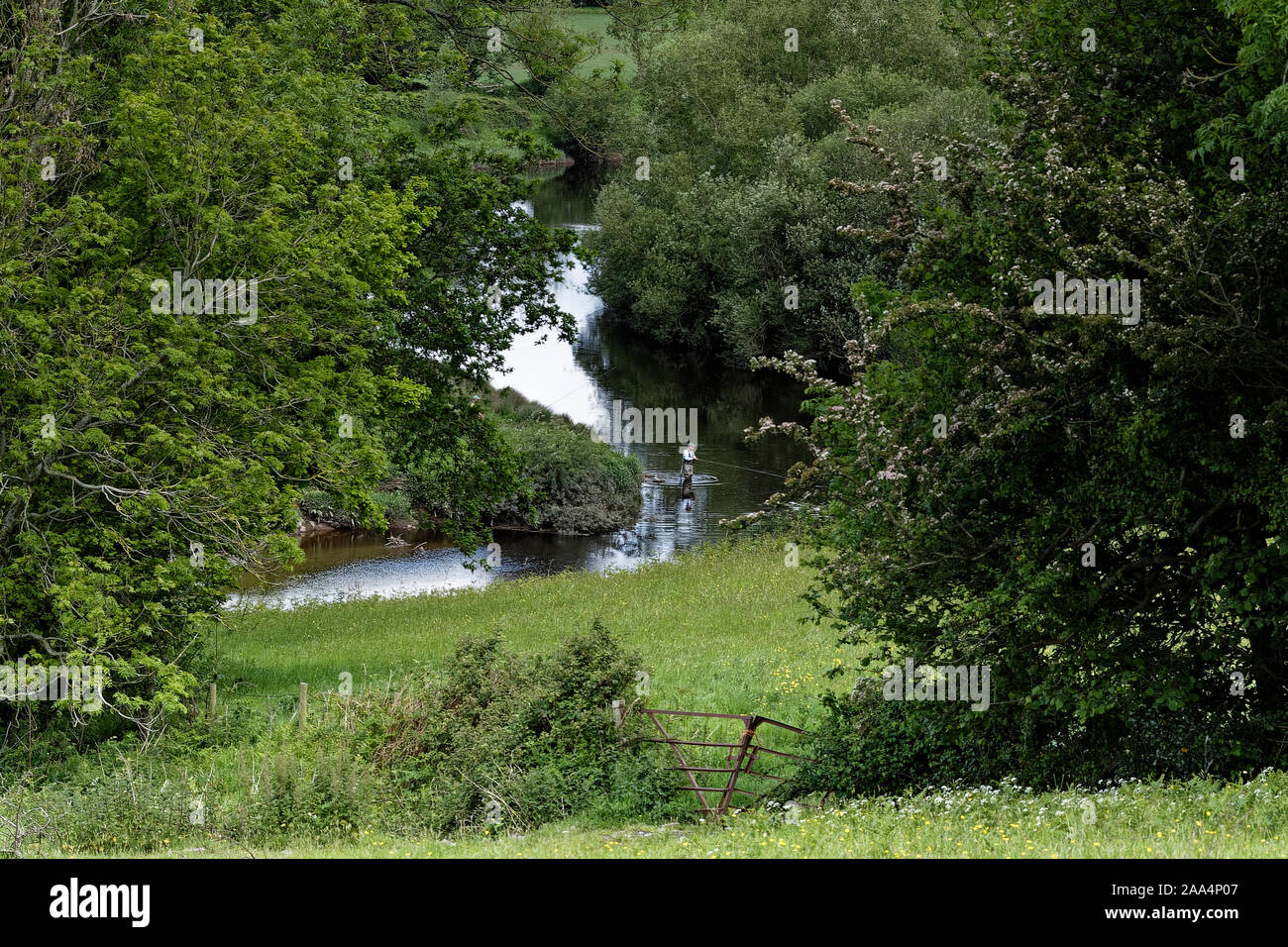 Pesca , Usk Valley, vicino a Newport Gwent. Regno Unito Foto Stock