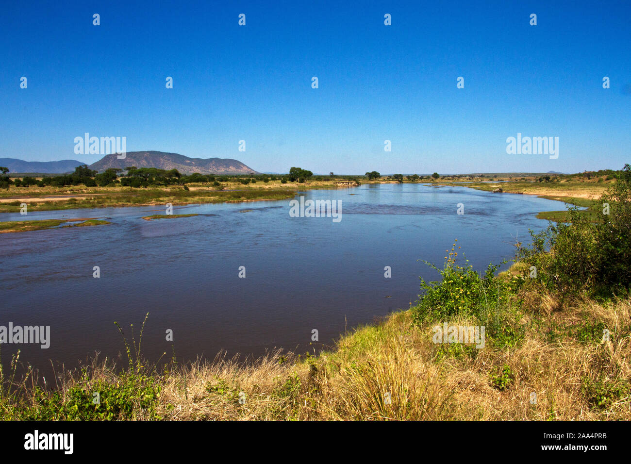 Negli ultimi venticinque anni il flusso del grande fiume Ruaha è stato arrestato ogni anni dalla coltivazione del riso i progetti che sono stati mal concieved e poorl Foto Stock