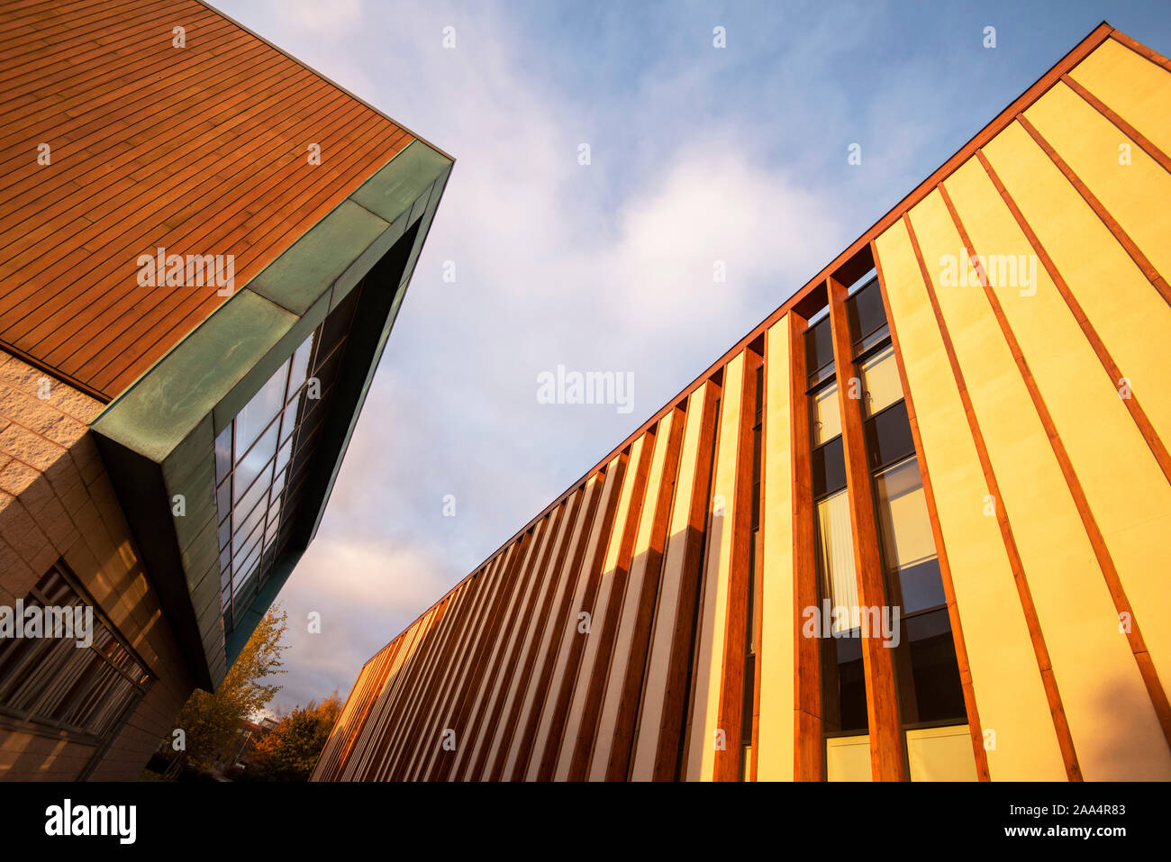 Autunno mattina al Sutton Bonington Campus dell'Università di Nottingham, Loughborough LEICESTERSHIRE REGNO UNITO Inghilterra Foto Stock