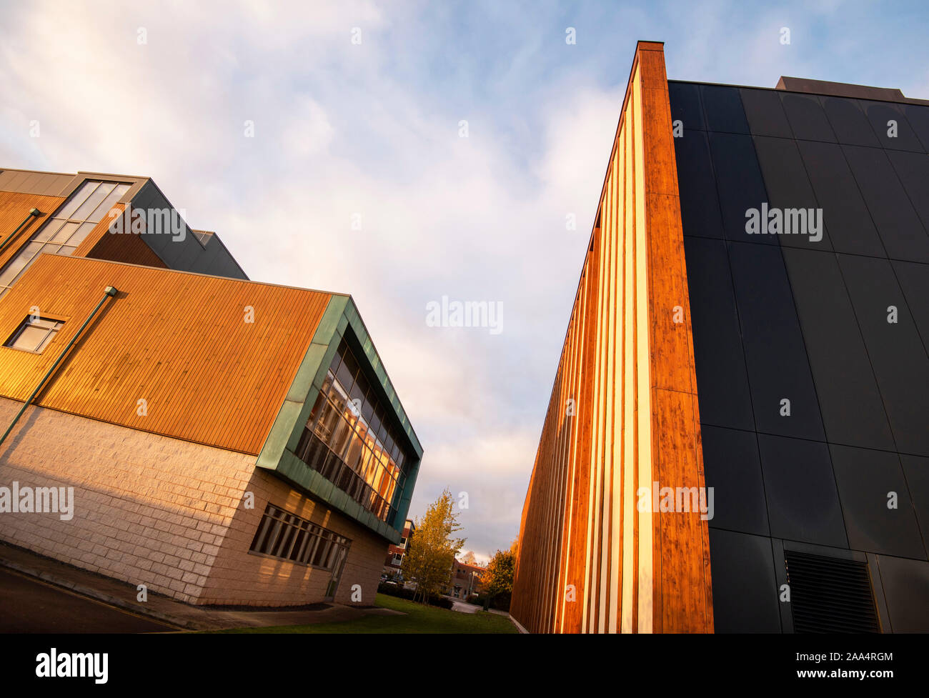 Autunno mattina al Sutton Bonington Campus dell'Università di Nottingham, Loughborough LEICESTERSHIRE REGNO UNITO Inghilterra Foto Stock