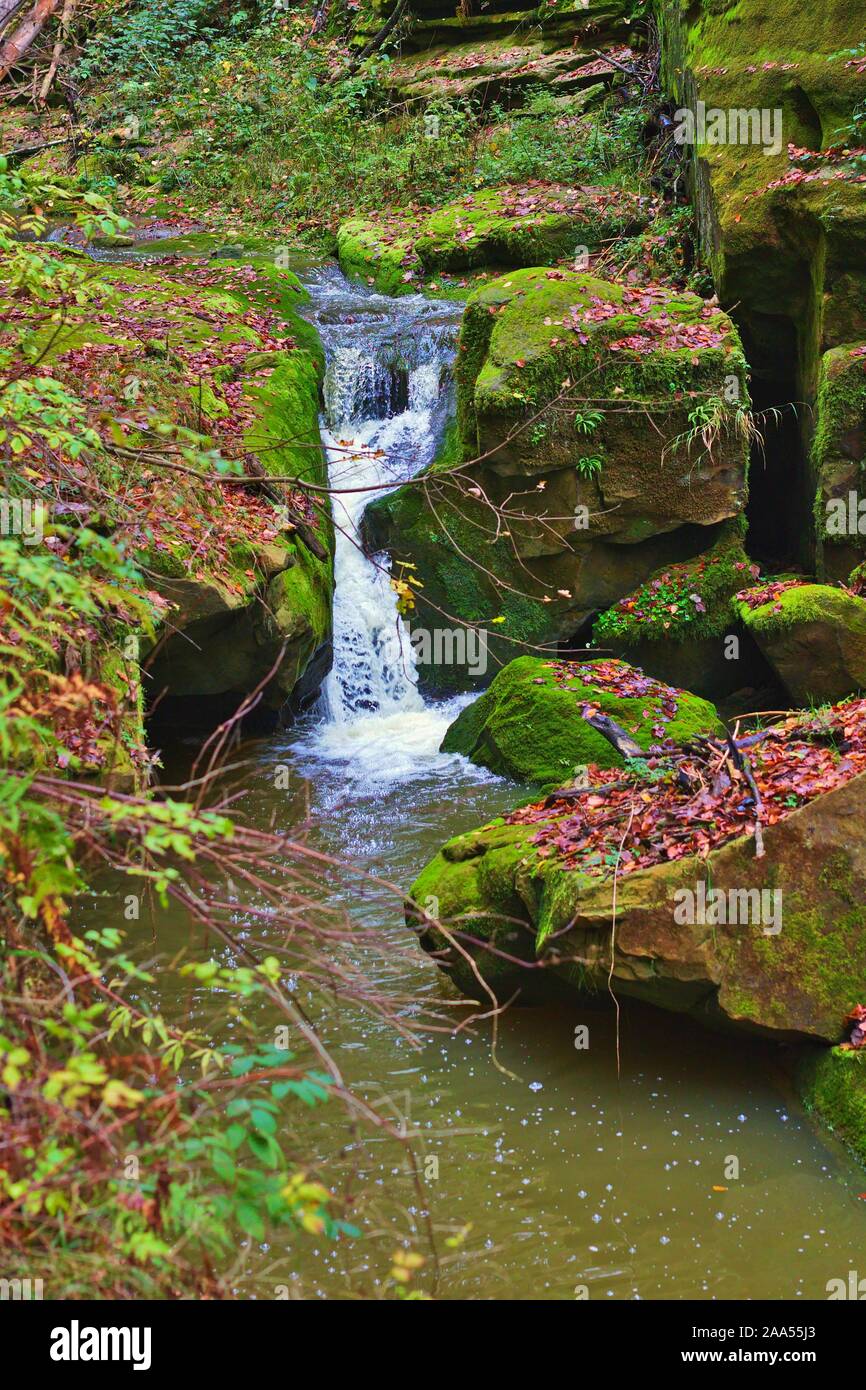 Una piccola cascata Lussemburgo, Mellerdall, percorso escursionistico W2, concetto, flusso costante, la Calmness, vicino alla natura, caduta, escursionismo, sedativi, calma e tranquilla Foto Stock