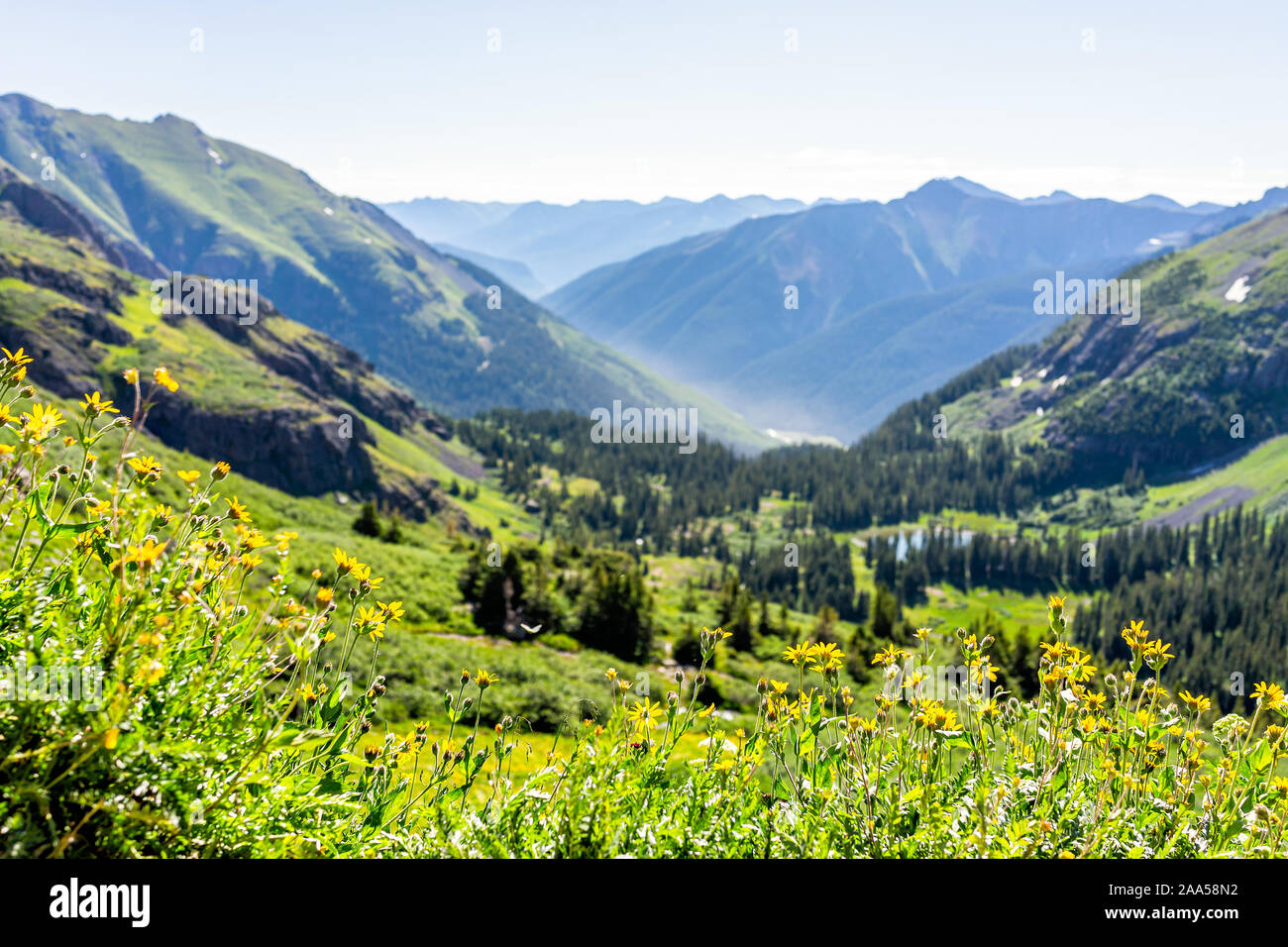 Angolo di alta vista della valle con in primo piano il giallo dei fiori di campo sulla pista di ghiaccio al lago vicino Silverton, Colorado in agosto 2019 estate Foto Stock
