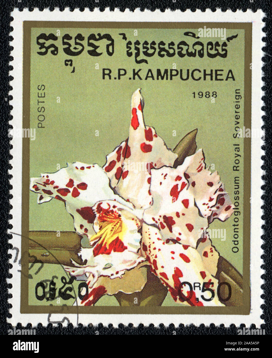Un timbro stampato in Kampuchea mostra flower orchid Odontoglossum Royal Sovereign,1988 Foto Stock