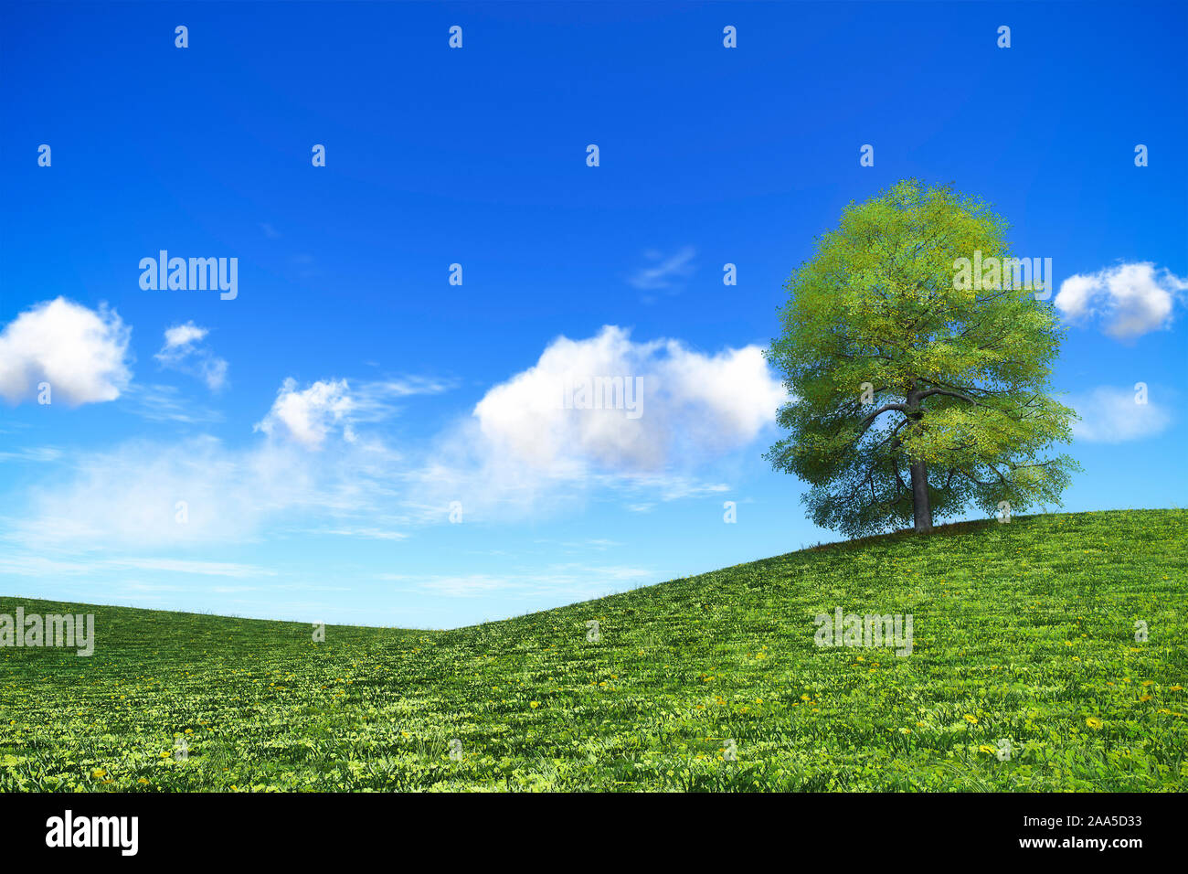 Ein alleinstehender, schoener Gruener Baum auf einer Wiese Foto Stock