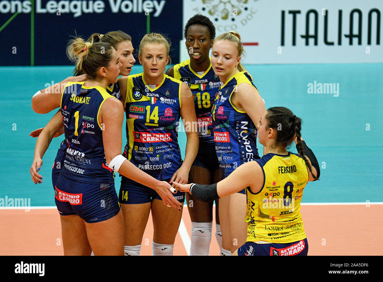 Treviso, Italia. Xix Nov, 2019. imoco volley coneglianoduring Imoco Carraro Conegliano vs Vasas Obuda Budapest, Pallavolo Champions League donne a Treviso, Italia, 19 novembre 2019 - LPS/Ettore Grifoni Credito: Ettore Grifoni/LP/ZUMA filo/Alamy Live News Foto Stock