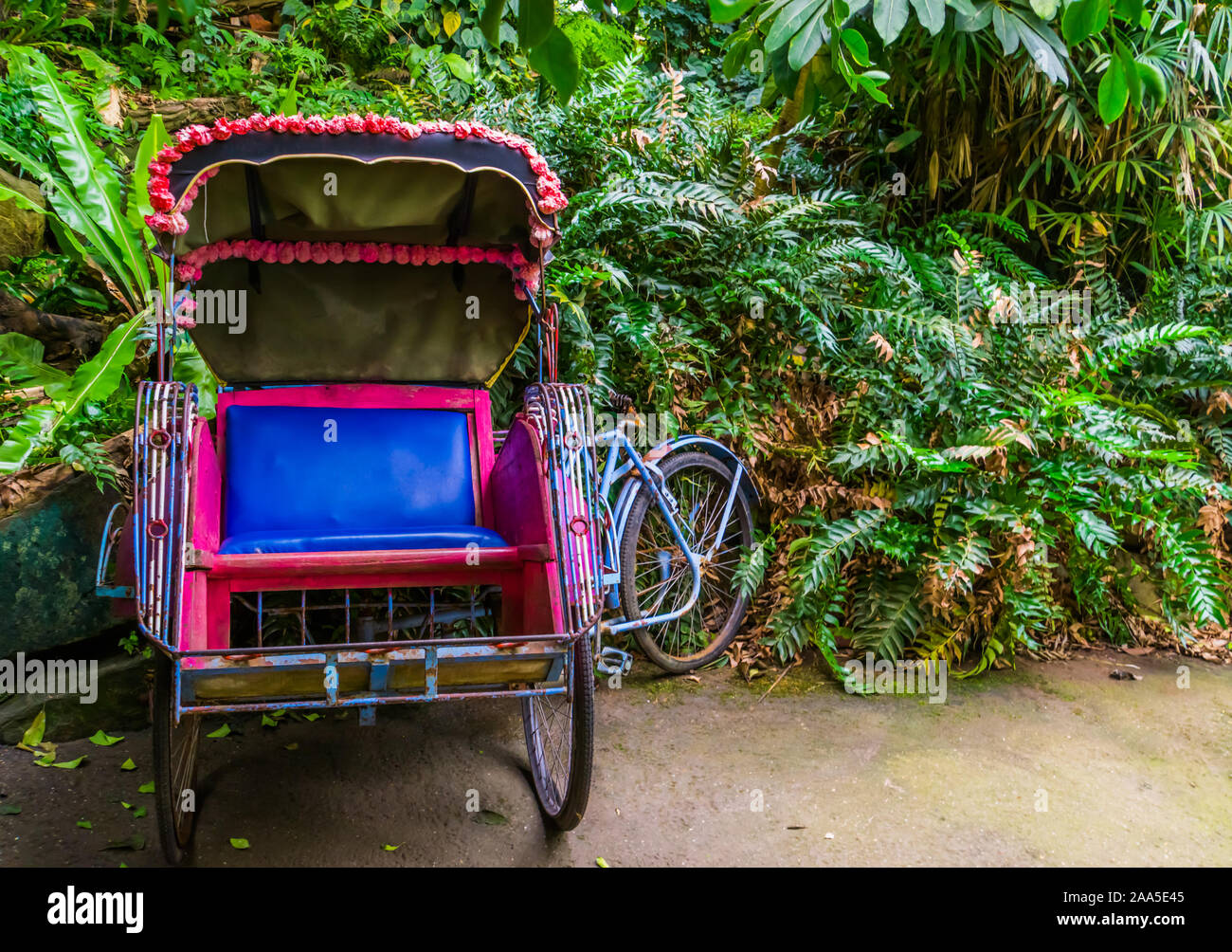 Ciclo di asiatici ricksha carrello, vista sul sedile, mezzi di trasporto tradizionali di asia Foto Stock