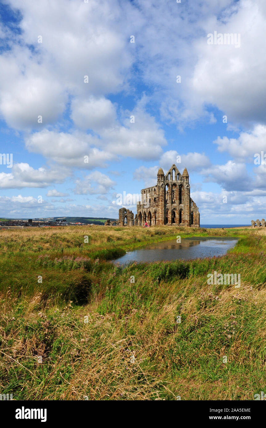 Whitby Abbey. Pond. Archi. Ritratto. Foto Stock