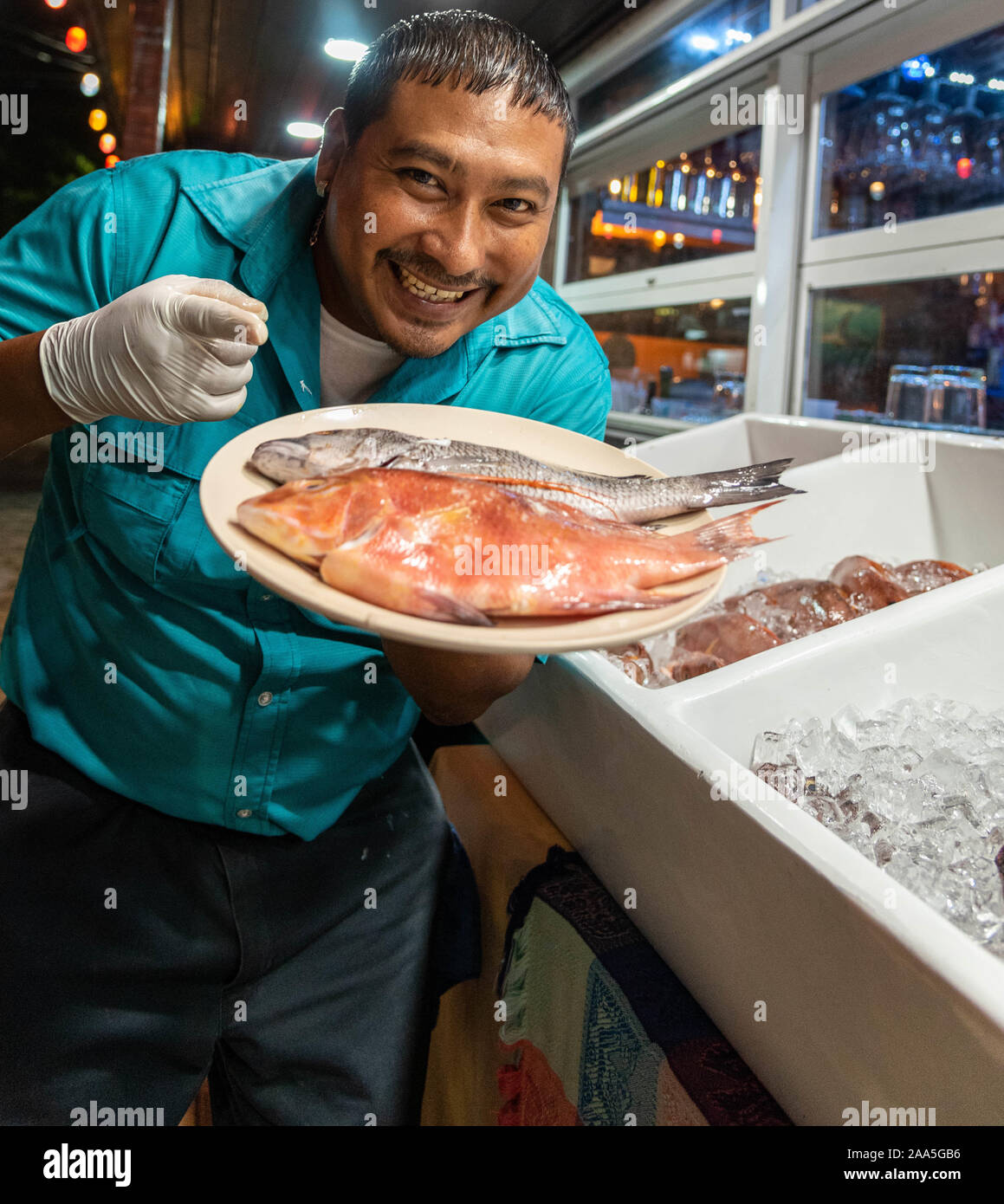 San Pedro, Ambergris Caye, Belize-November 16, 2019: un ristorante Belizean dipendente della visualizzazione di una piastra di intero crudo hogfish e nero snapper. Foto Stock