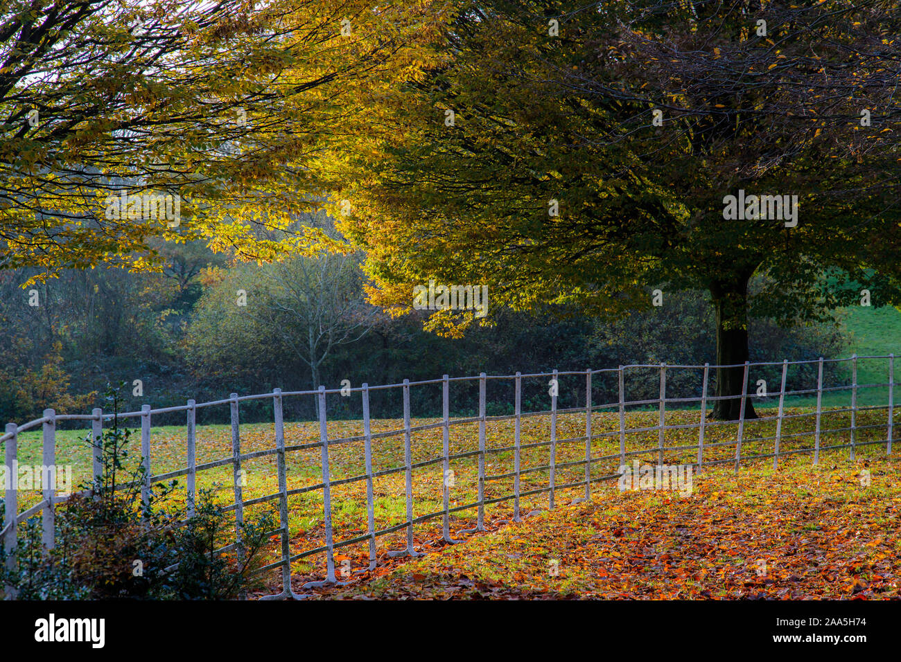 Bella autunno a Grove Park, Birmingham, Regno Unito Foto Stock