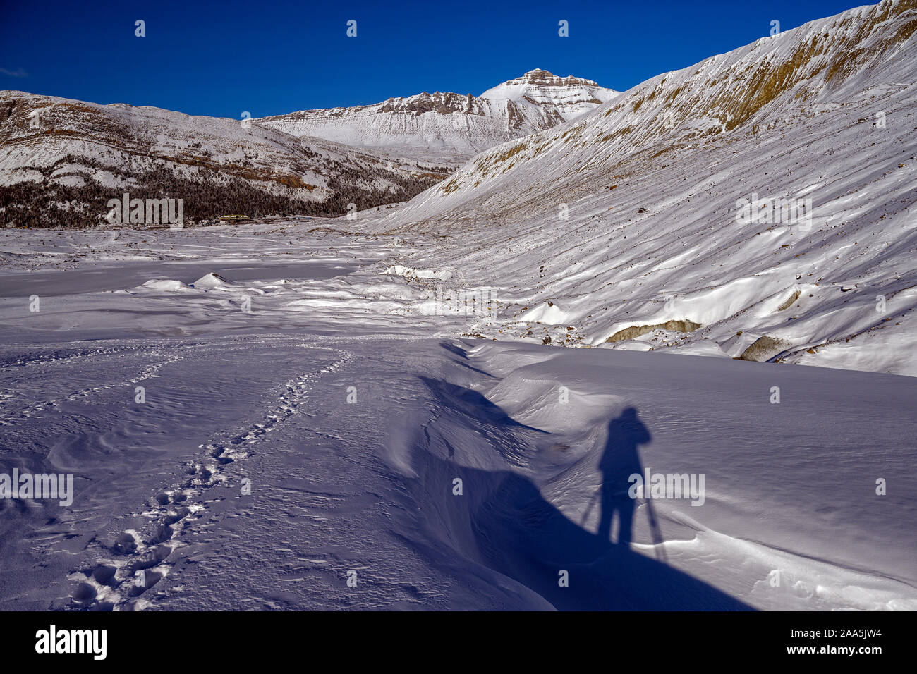 Fotografo di natura di scattare le foto della vista panoramica del Ghiacciaio Athabasca presso la Columbia Icefield, Japser National Park, Alberta, Canada Foto Stock