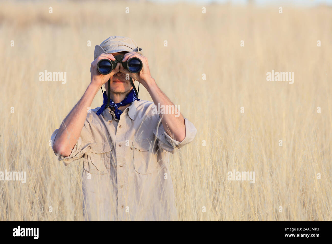 Safari uomo cerca attraverso il binocolo in erba lunga Foto Stock