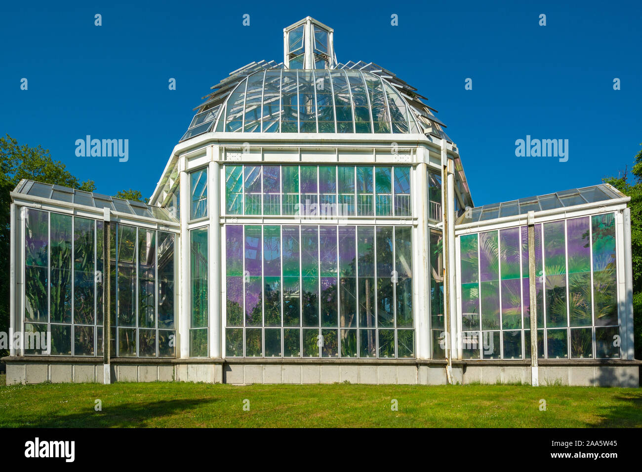 La Svizzera di Ginevra, Giardino Botanico, serra temperata Foto Stock