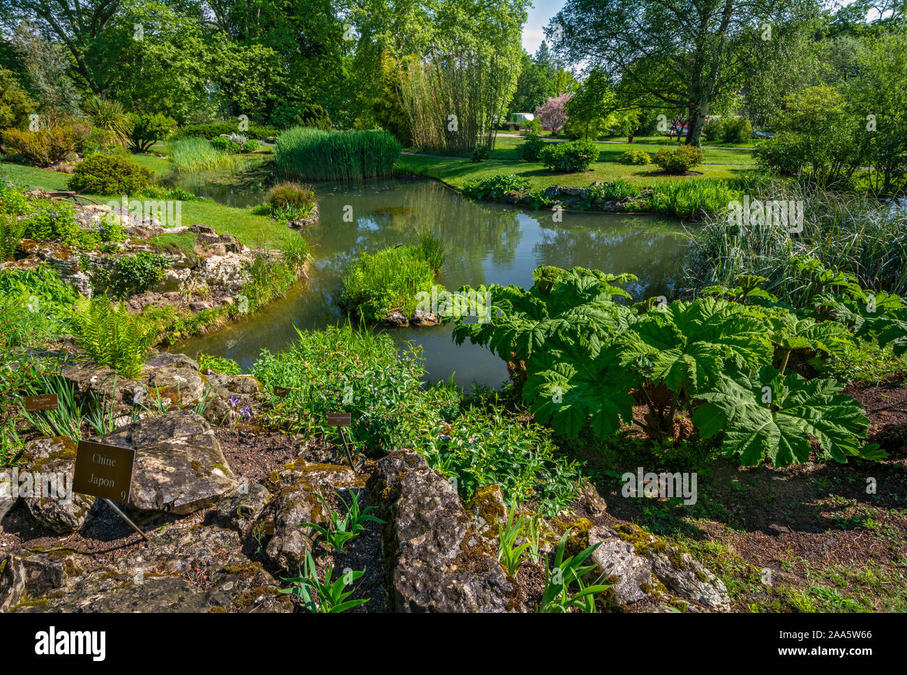 La Svizzera di Ginevra, Giardino Botanico Foto Stock