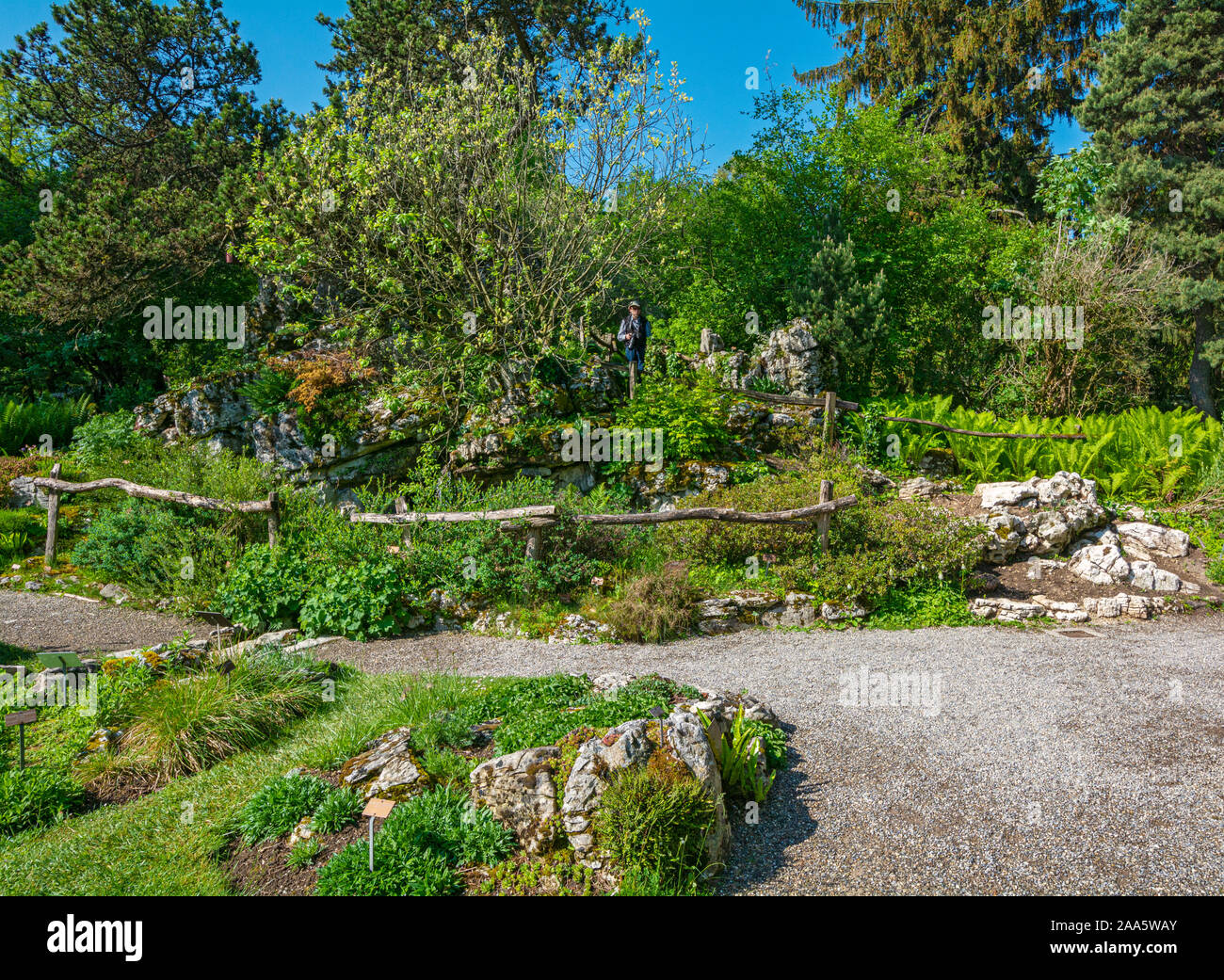 La Svizzera di Ginevra, Giardino Botanico Foto Stock