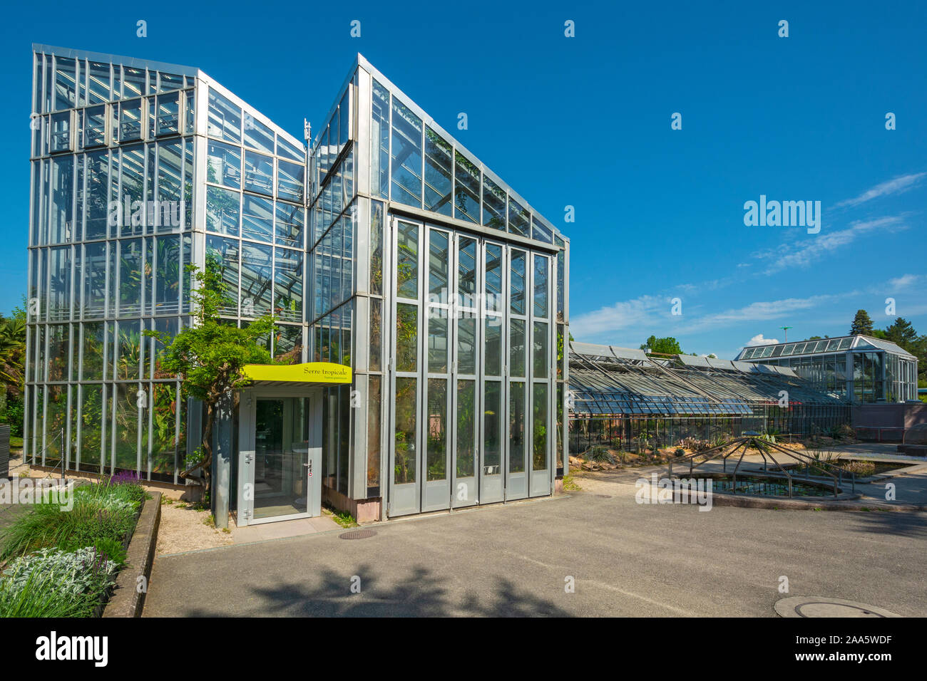 La Svizzera di Ginevra, Giardino Botanico, serra tropicale Foto Stock