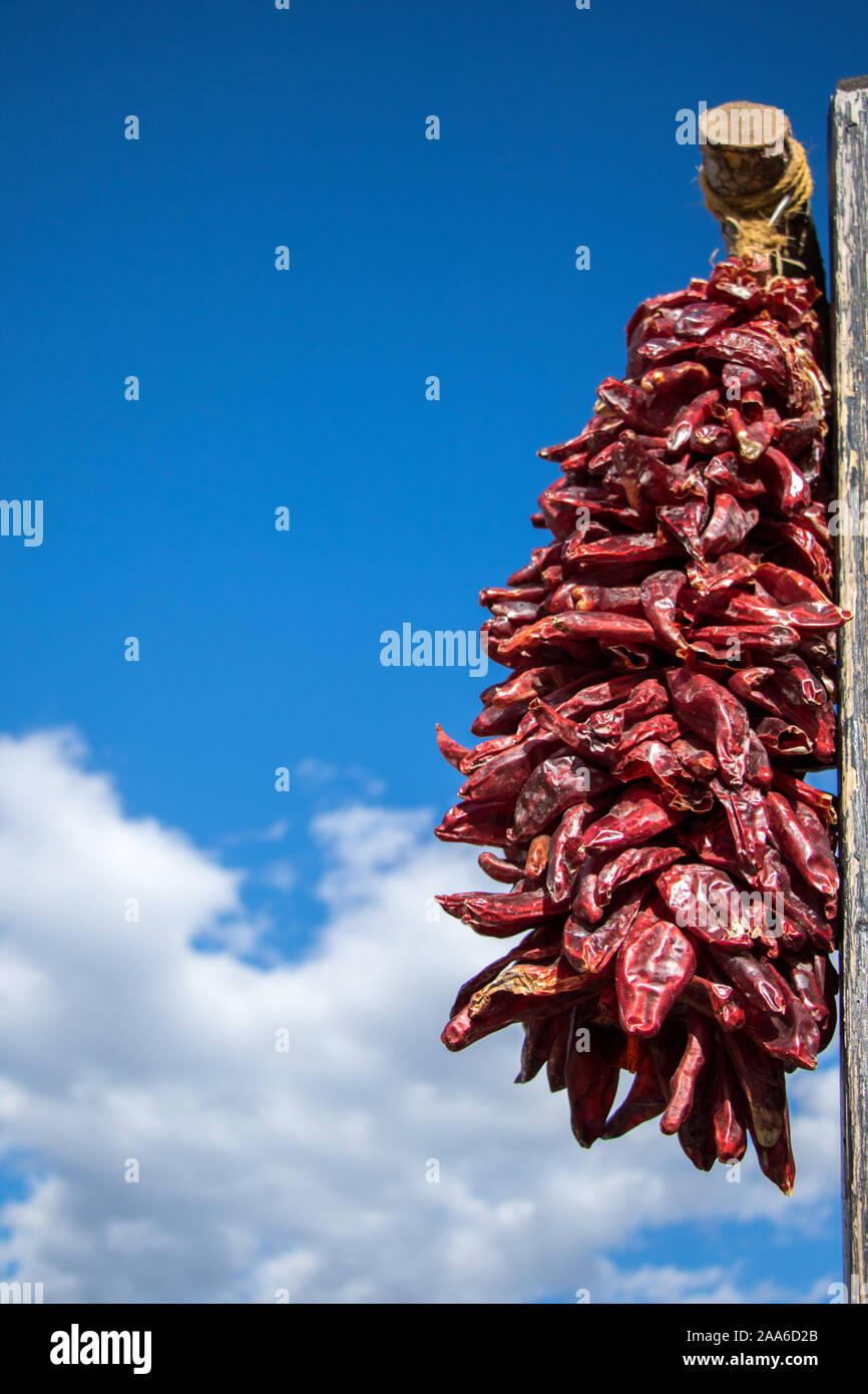 New Mexican peperoncini rossi appesi ad asciugare su una giornata di sole. Foto Stock