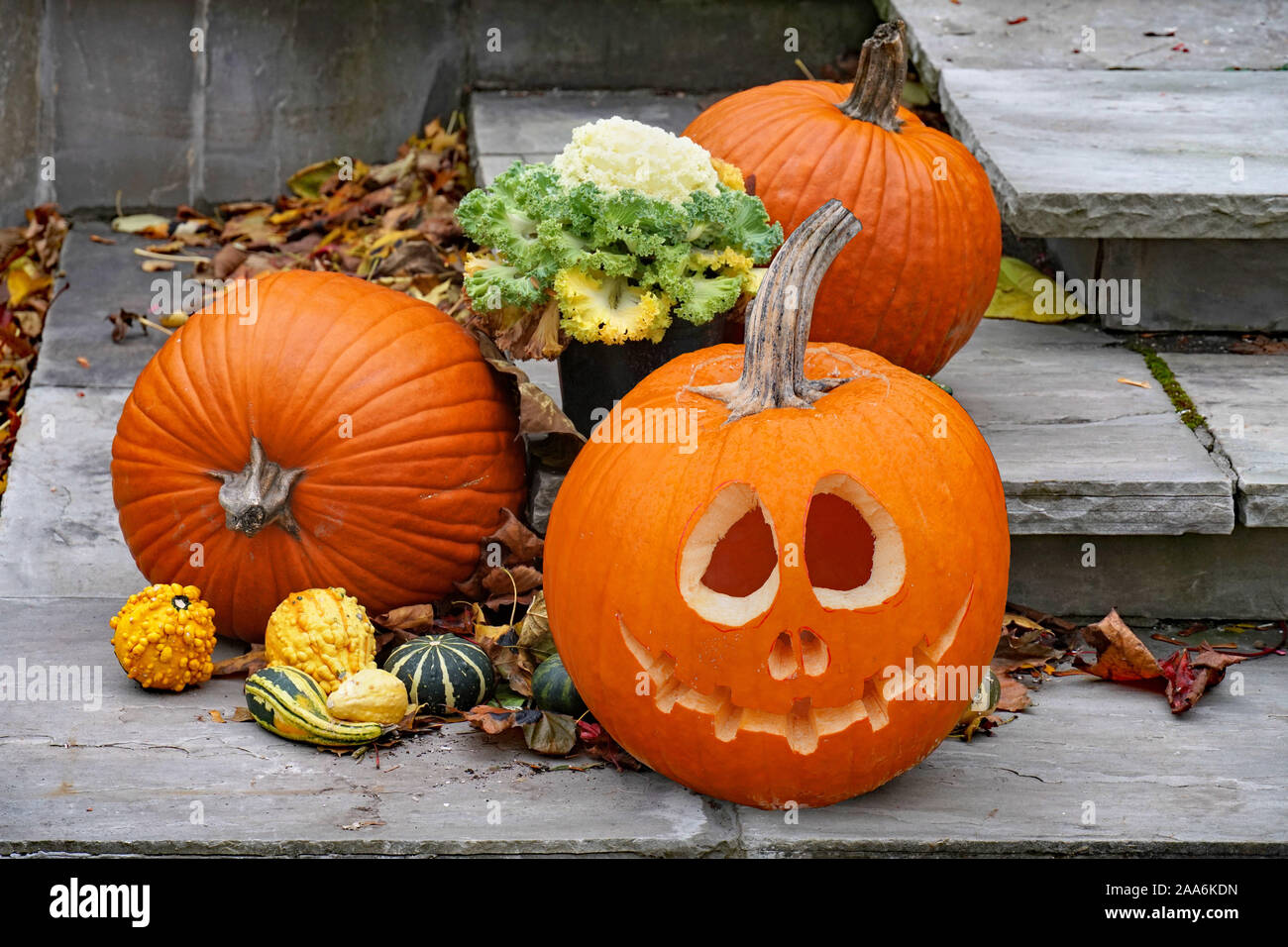 Gruppo di zucche sui gradini di fronte a una casa come decorazioni di Halloween Foto Stock
