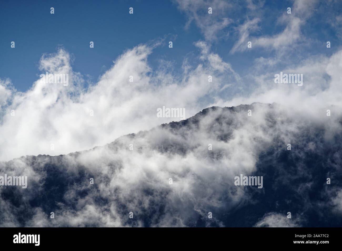 La vista da Nord a macchia nativa nelle nuvole da Havelock attraverso Pelorus Suono e Kaikemera Bay, Marlborough Sounds, Nuova Zelanda. Foto Stock