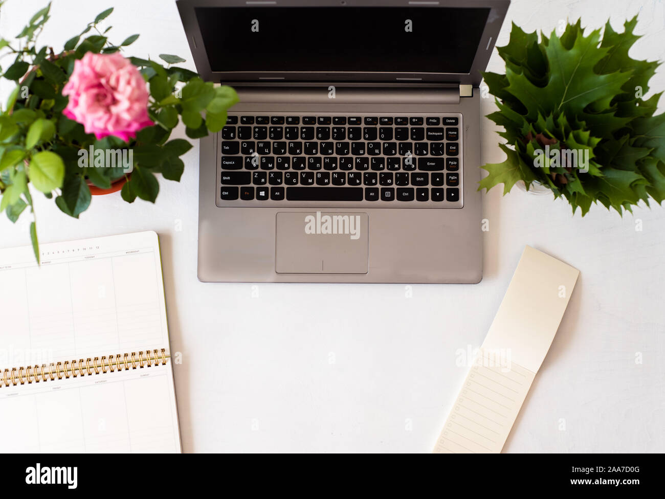 Il luogo di lavoro con computer portatile, agenda, rose e scrivania in legno Foto Stock