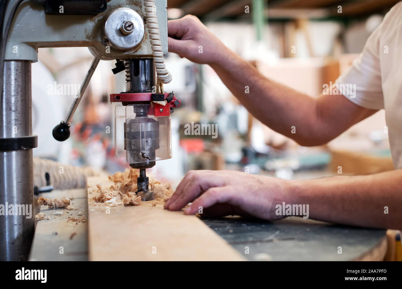 Carpenter lavorando su una potenza verticale praticare la perforazione di un foro in un asse di legno in un vicino sul bit, segatura e le sue mani Foto Stock