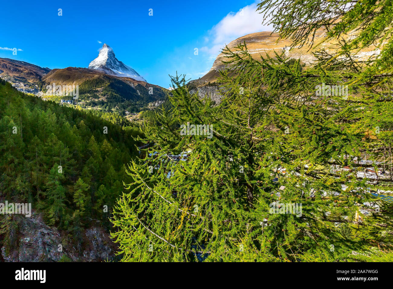 Cervino Snow mount e bellissimo villaggio alpino nelle pinete, Svizzera, alpi svizzere, Vista panoramica Foto Stock
