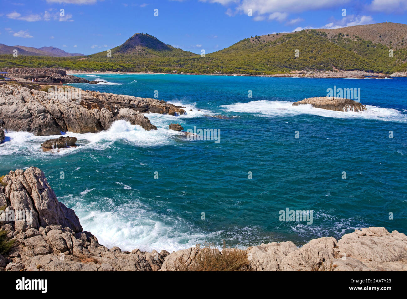 Felsige Küste bei Cala Agulla, Cala Ratjada, Maiorca, Balearen, Spanien | costa rocciosa a Cala Agulla, Cala Ratjada, Maiorca, isole Baleari, Spagna Foto Stock