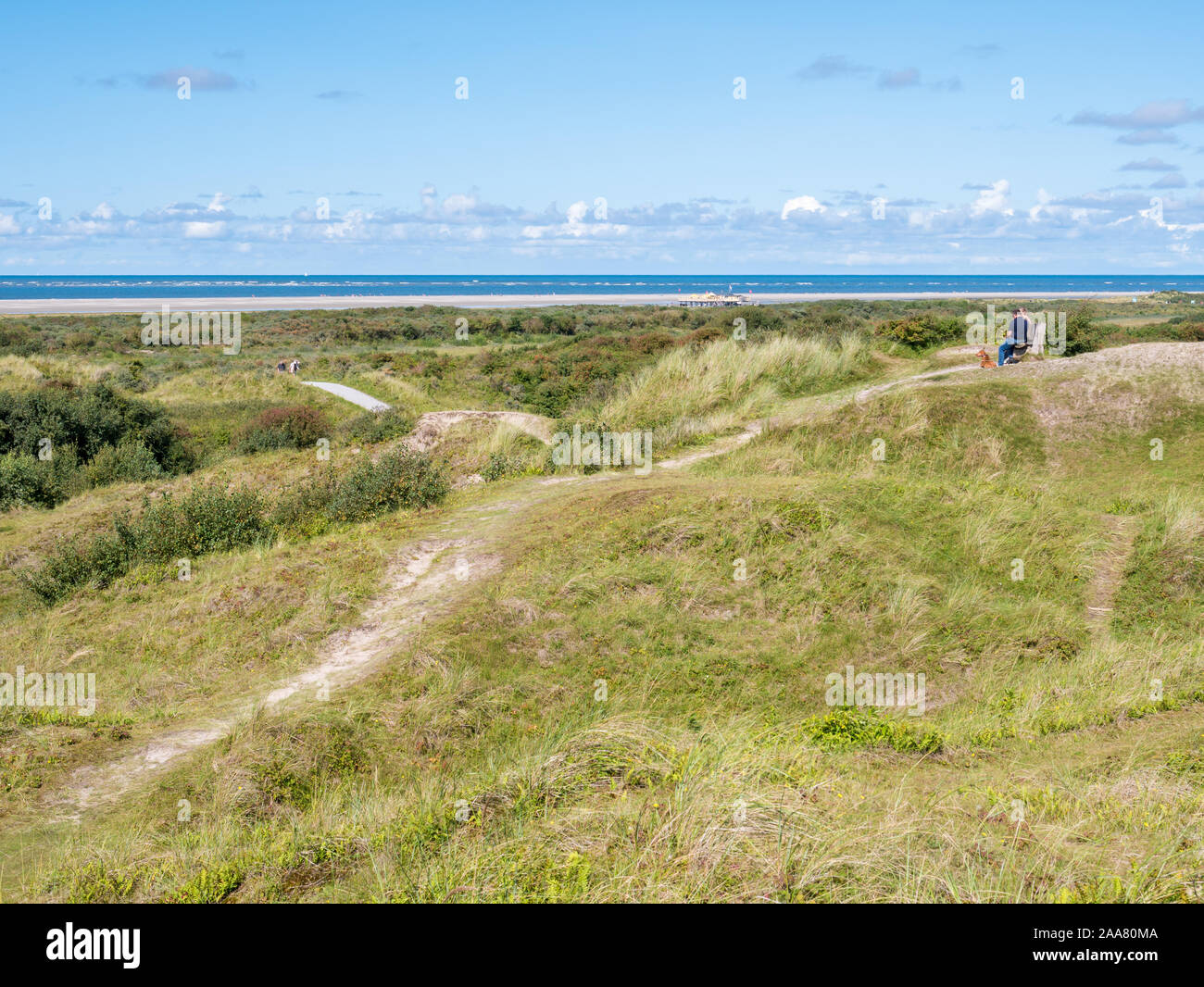 Dune con persone e sentieri percorribili a piedi al mare del Nord della costa ovest dell'isola Frisone Schiermonnikoog, Paesi Bassi Foto Stock