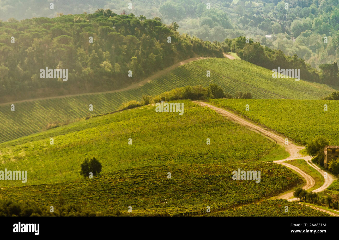 Toscana, Italia, bella italiano tipico paesaggio di campagna vista panoramica con vigneti, ulivi e colline Foto Stock