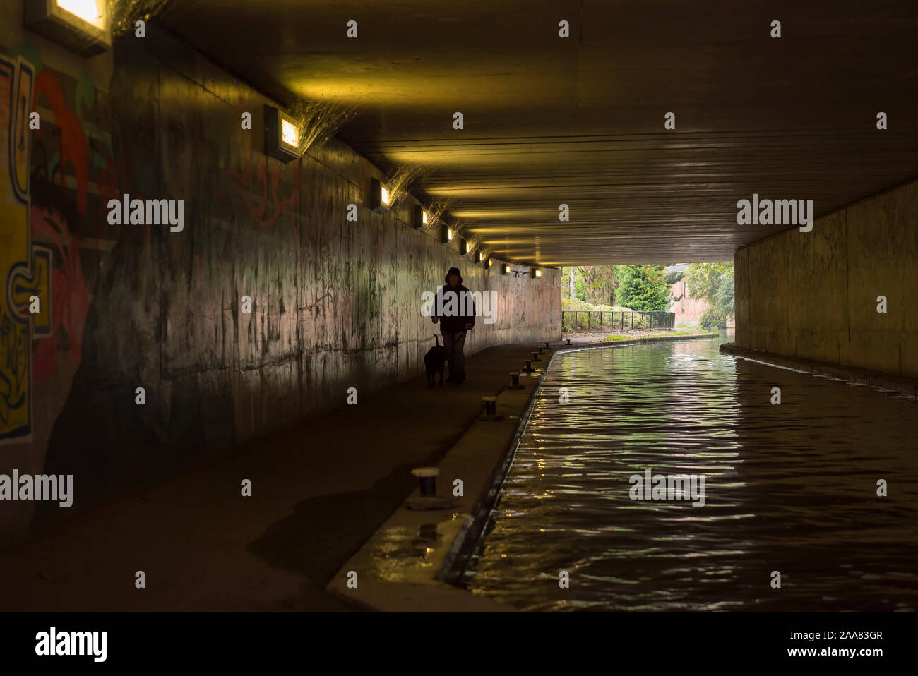 Figura isolata e solitaria che cammina il cane dal canale urbano nel sottopassaggio pedonale britannico scuro, passando opere d'arte di graffiti urbani spruzzate sulle pareti. Foto Stock