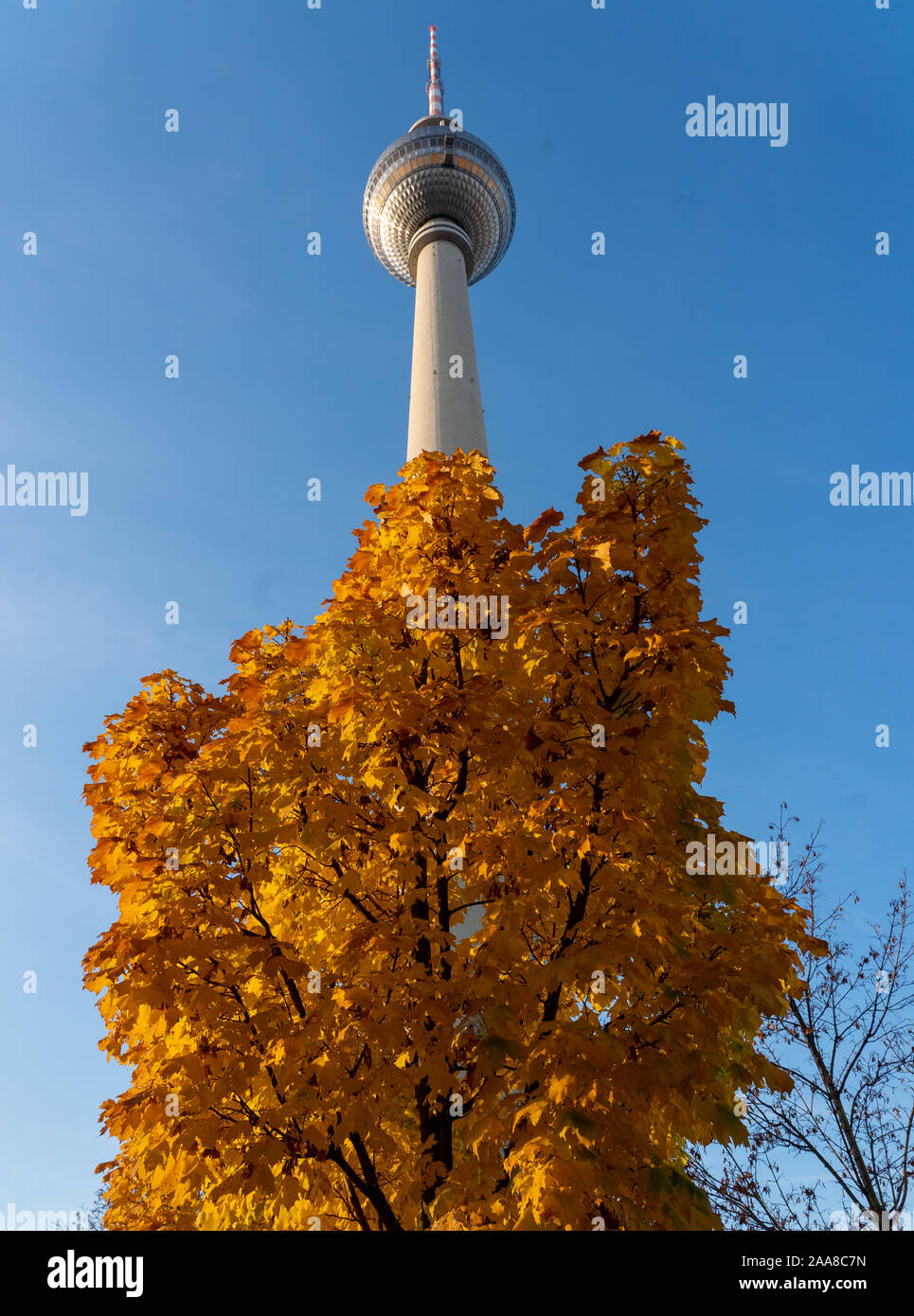 Il Berliner Fernsehturm (torre della televisione) di Berlino. Da una serie di foto di viaggio in Germania. Foto Data: giovedì 14 novembre, 2019. Foto: Roge Foto Stock