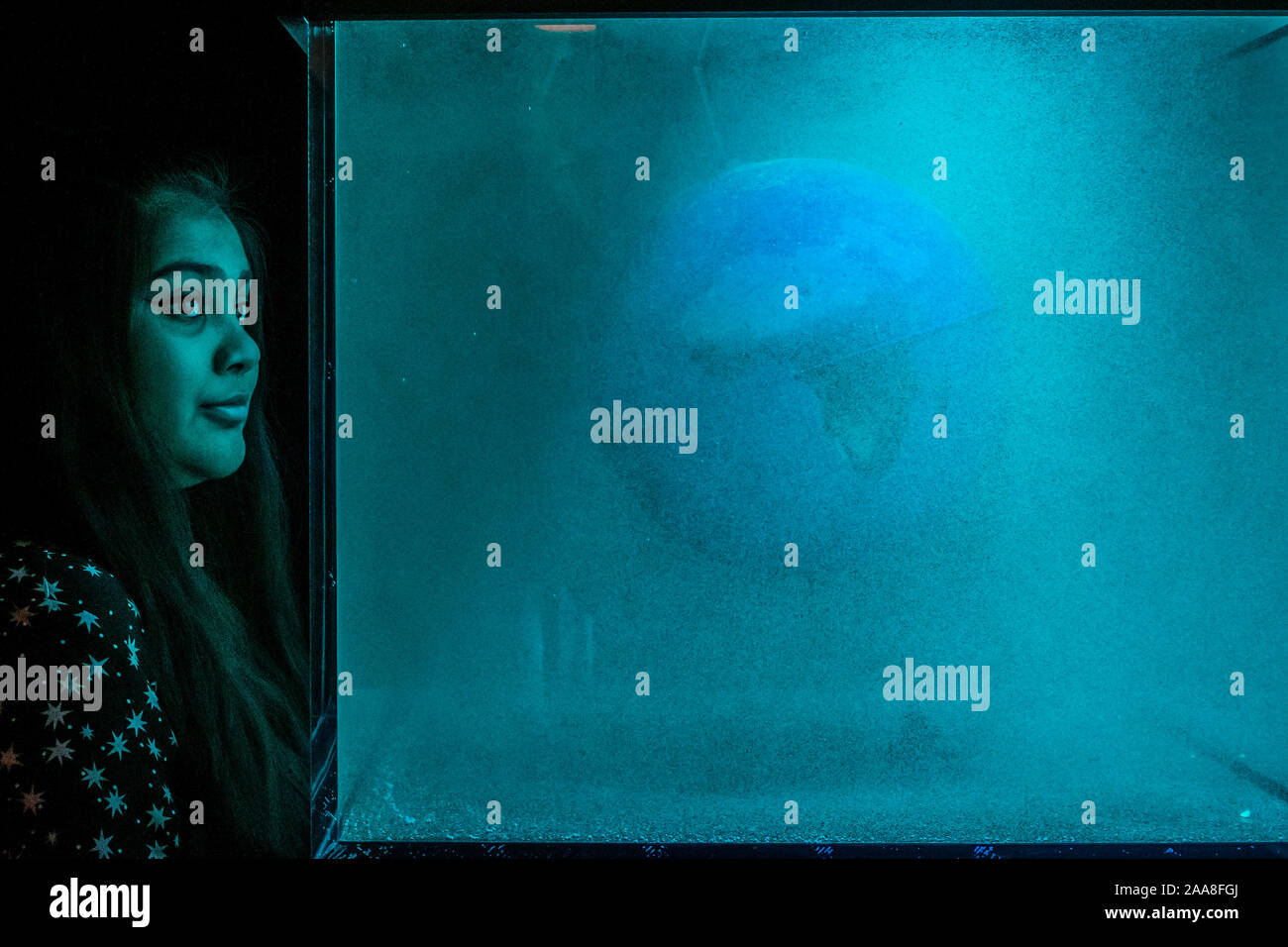 Londra, Regno Unito. Xx Nov 2019. HeHe, catastrofe nazionale Nº3: Laboratorio pianeta, 2012 - Eco-Visionaries una nuova mostra presso la Reale Accademia delle Belle Arti Essa è finalizzata ad affrontare un pianeta in uno stato di emergenza. Credito: Guy Bell/Alamy Live News Foto Stock