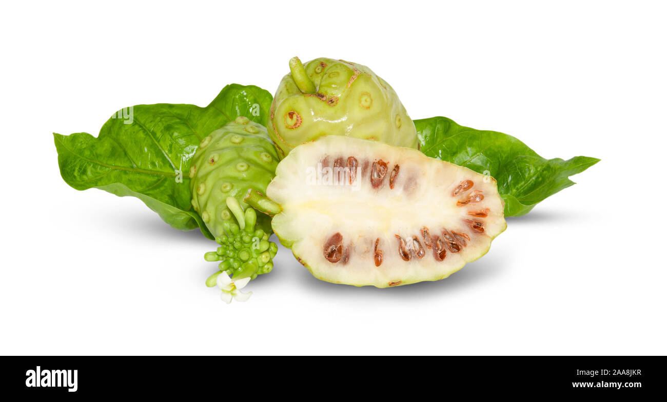 Il noni o Morinda citrifolia e slice isolati su sfondo bianco. Foto Stock