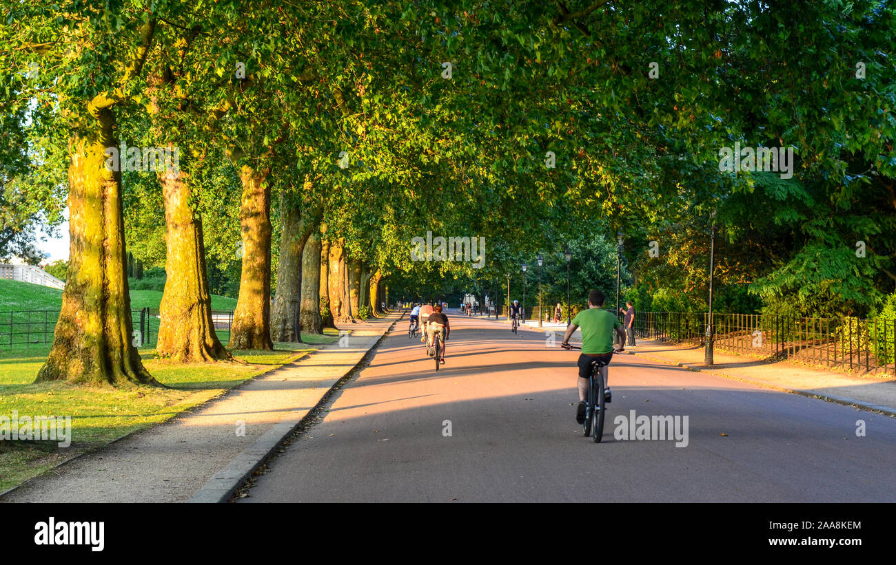 London, England, Regno Unito - 22 Luglio 2014: I ciclisti corsa attraverso un viale di alberi di trasmissione del carrello in Battersea Park, West London. Foto Stock