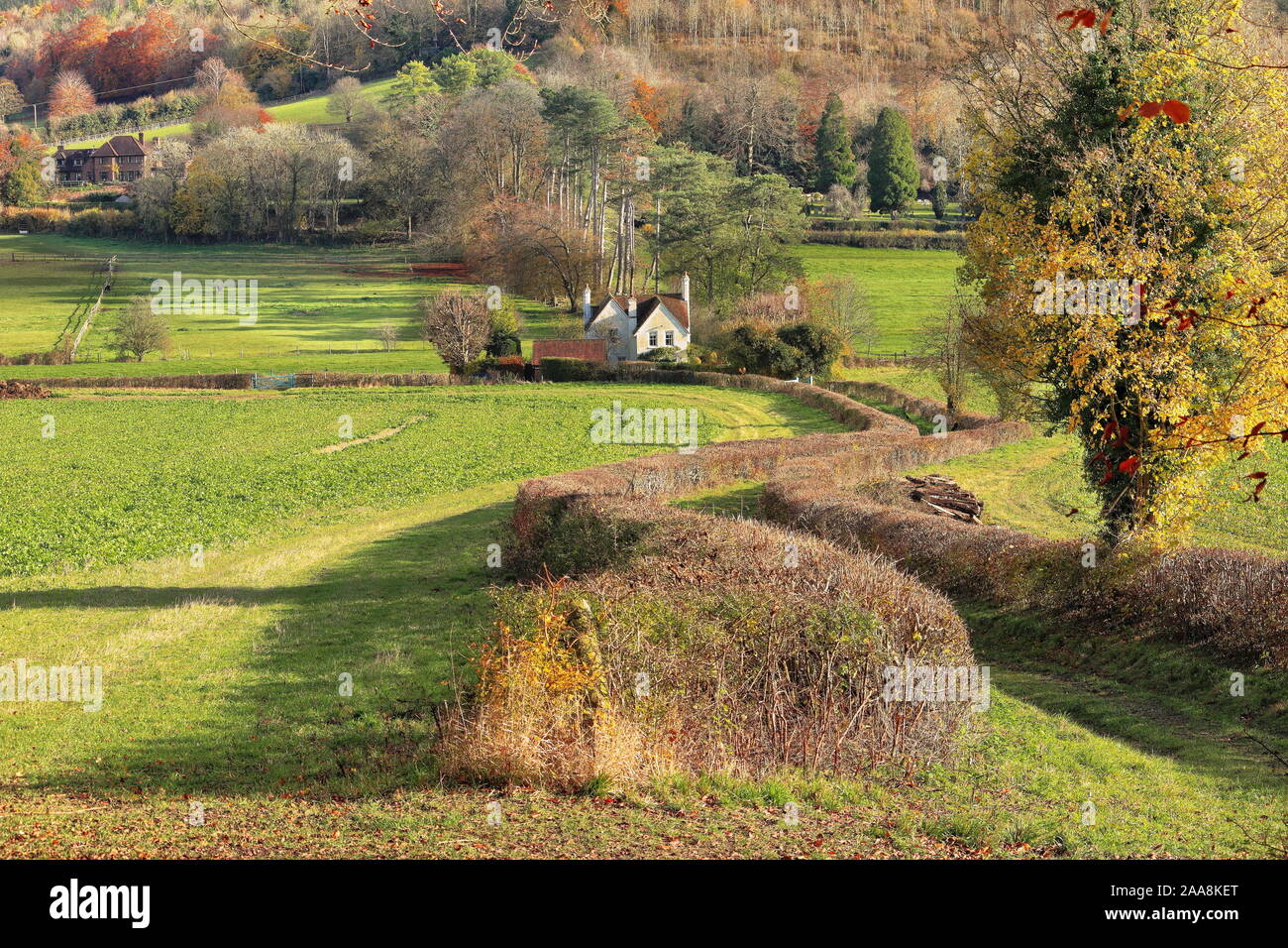 Un inglese un paesaggio rurale nella Chiltern Hills con la via tra i campi Foto Stock