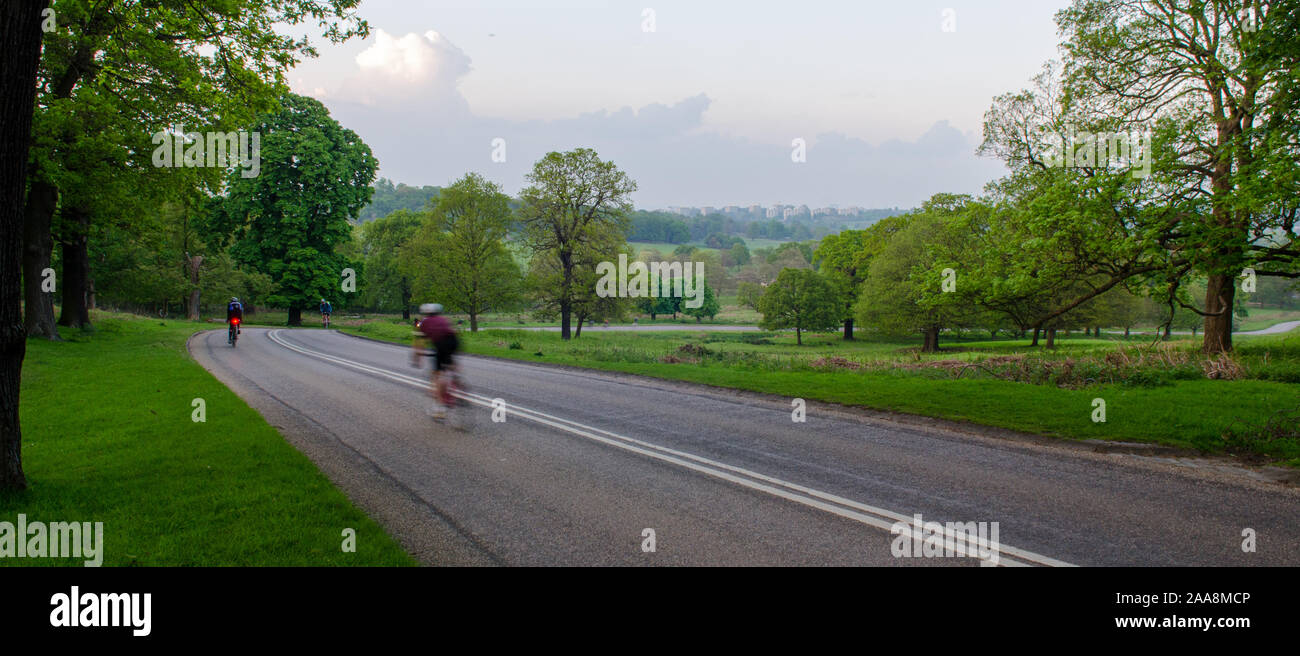 London, England, Regno Unito - 29 Aprile 2014: I ciclisti ride intorno le strade periferiche di Richmond Park nel sud-ovest di Londra. Foto Stock