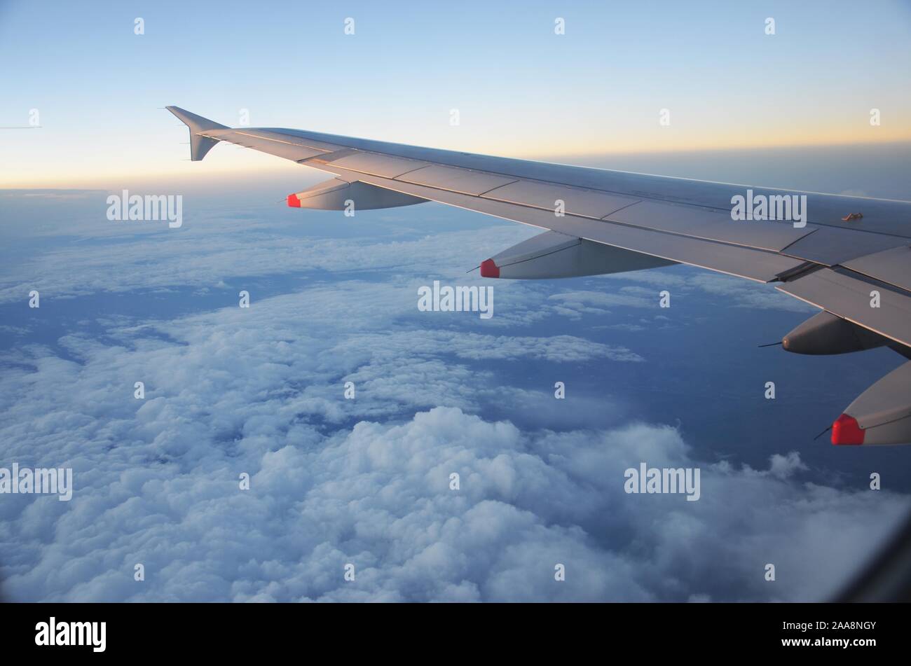 In volo la mattina luci sopra un mare di nubi Foto Stock In volo la mattina luci sopra un mare di nubi Foto Stock