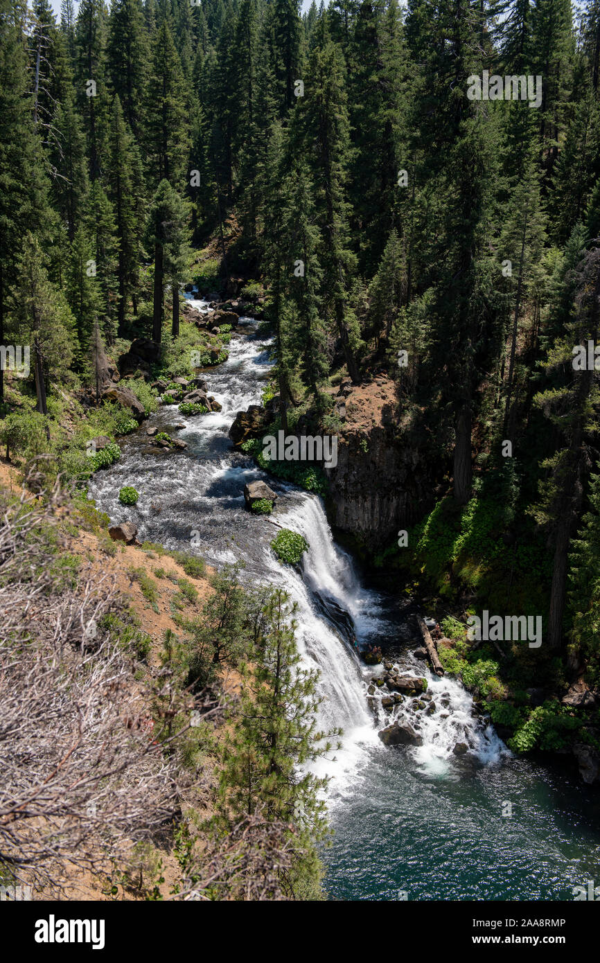 Grande Cascata nella foresta di pini visto dal di sopra Foto Stock