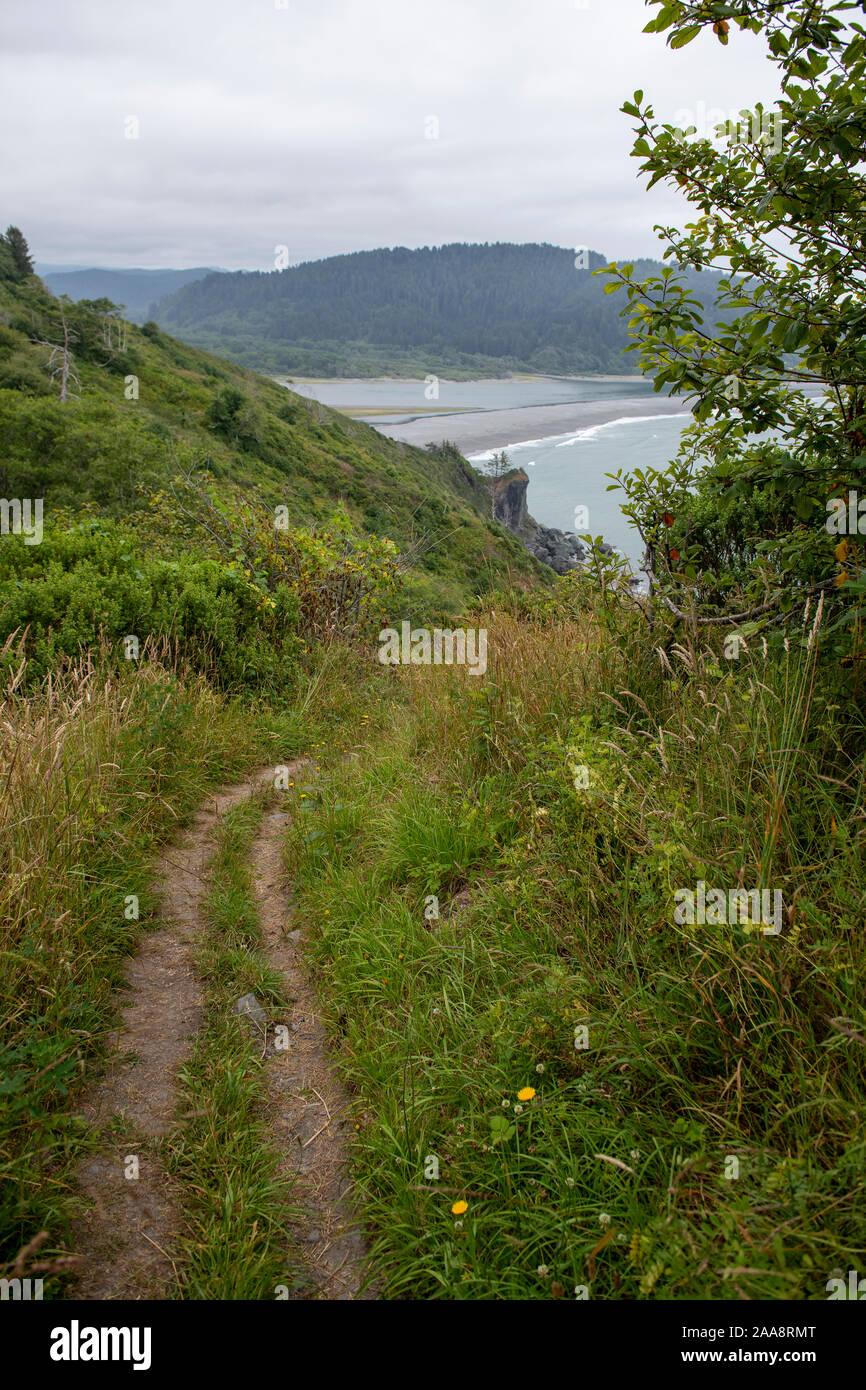 Cliff trail lungo l'Oceano Pacifico presso la foce del fiume Klamath Foto Stock