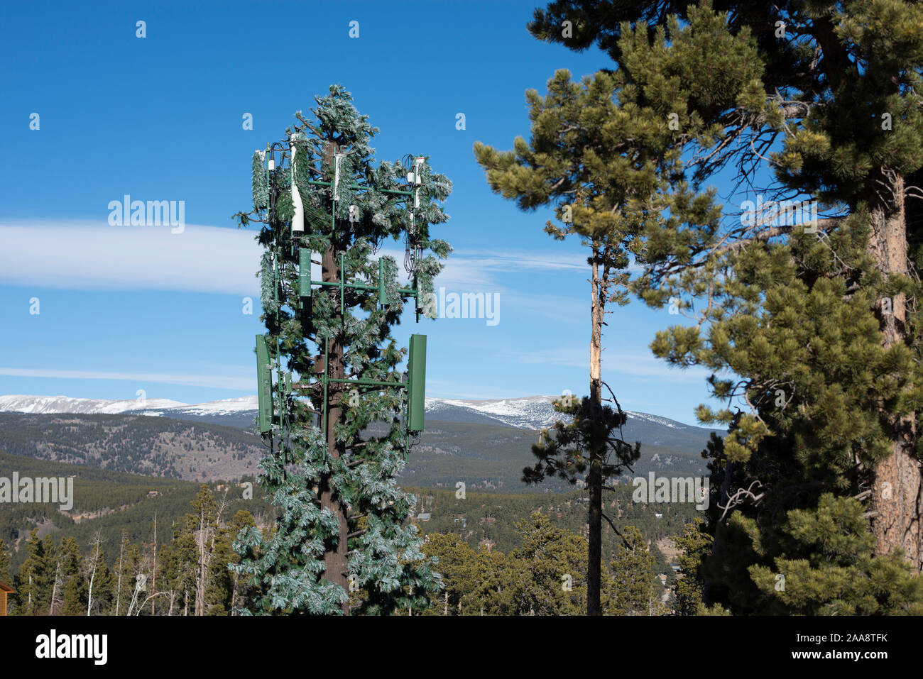 Mobile phone tree tower in montagna Foto Stock