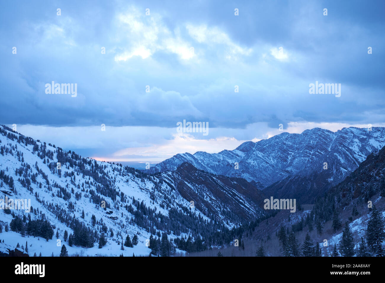 Neve e pini di Wasatch Mountains nello Utah, Stati Uniti d'America Foto Stock
