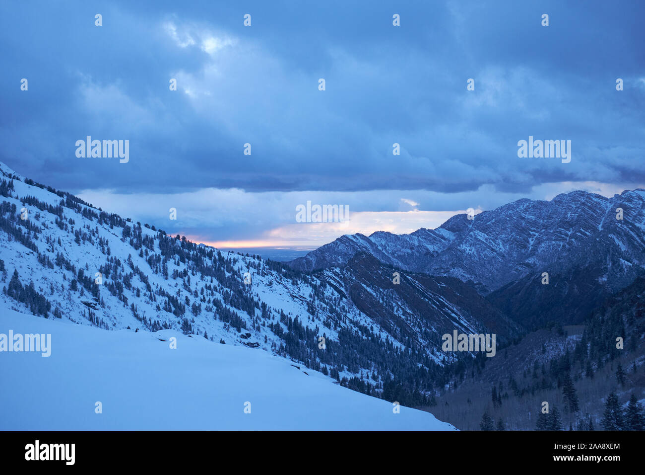 Neve e pini di Wasatch Mountains nello Utah, Stati Uniti d'America Foto Stock