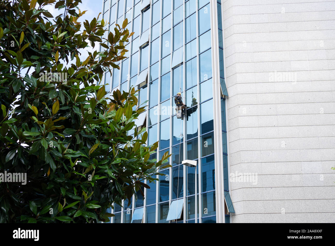 Detergente per vetri lavorando su una facciata di vetro sospesa. Il concetto di pulizia. Spazio di copia Foto Stock